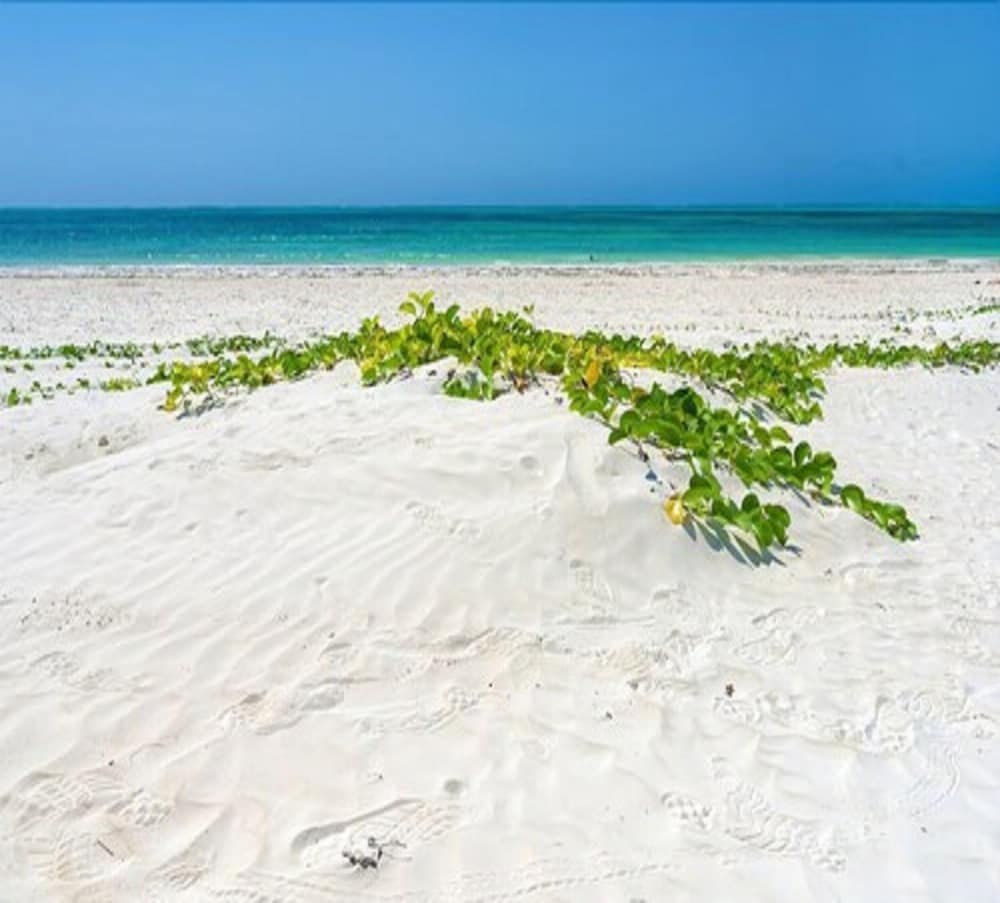Hakuna Majiwe Beach Lodge