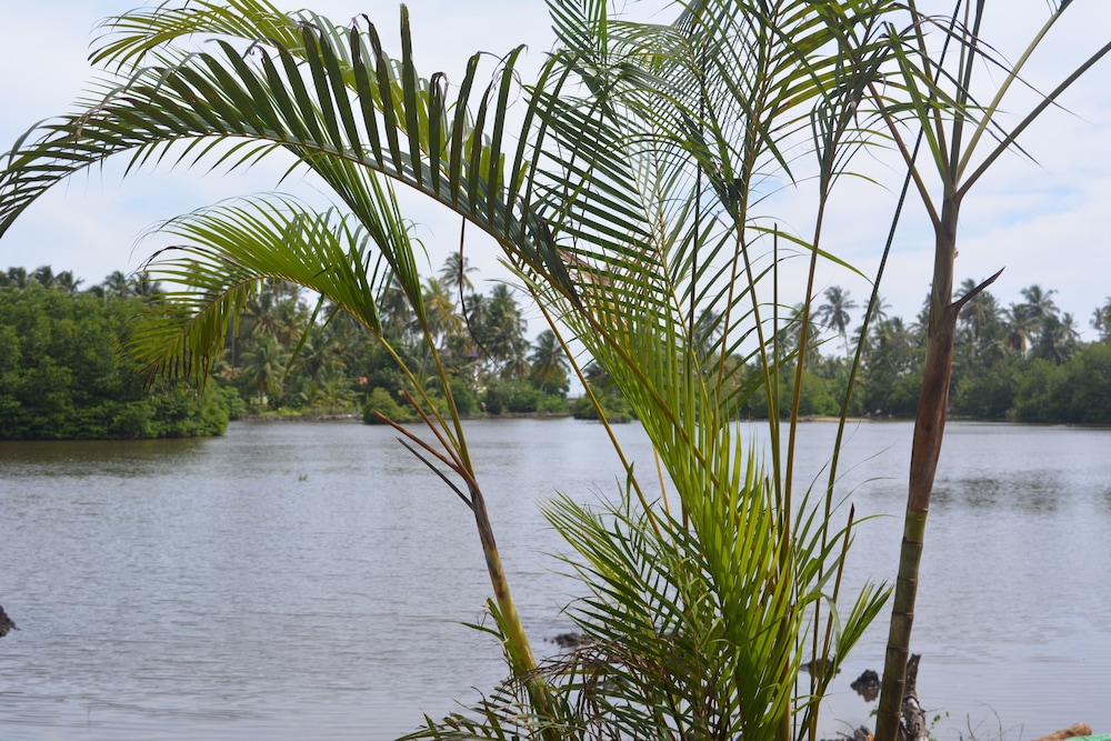 Lagoon Resort Goviyapana