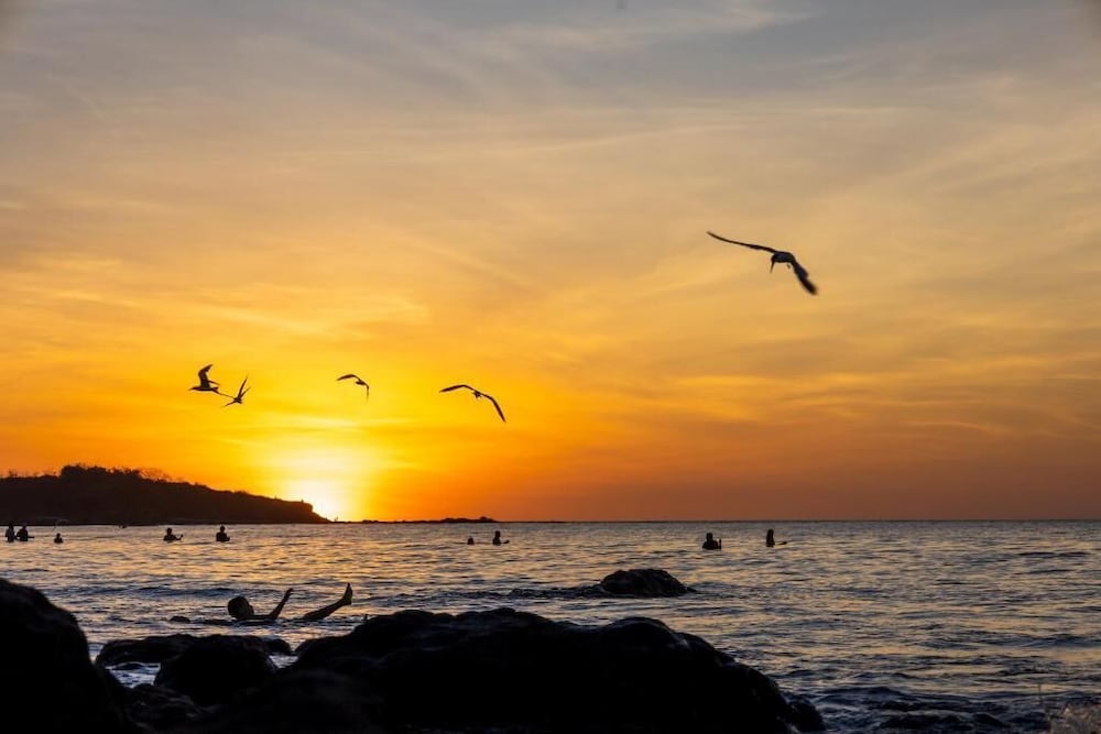 Guanacaste - Costa Rica Vacations - Mother Earth Vegan Hotel  Restaurant - Property Image 11