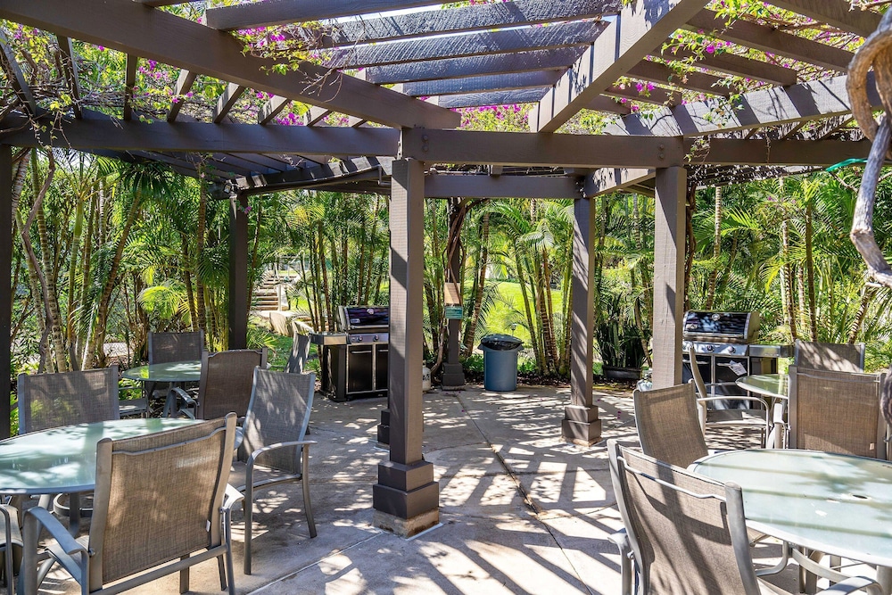 Maui Kamaole G-202 - Spectacular Views, Updated and Elegant, Wi-fi & Split-ac!