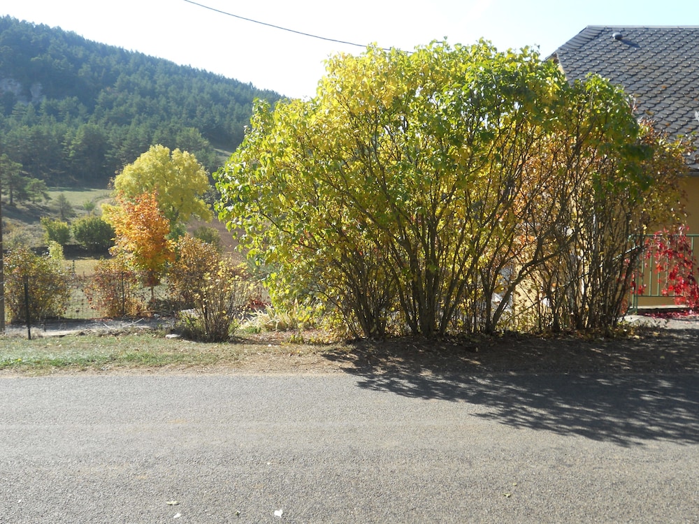 Photo 37