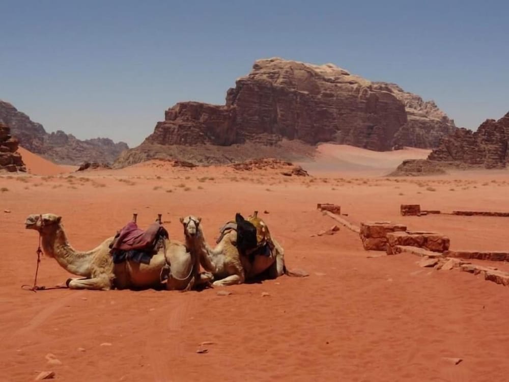 Desert Moon Camp