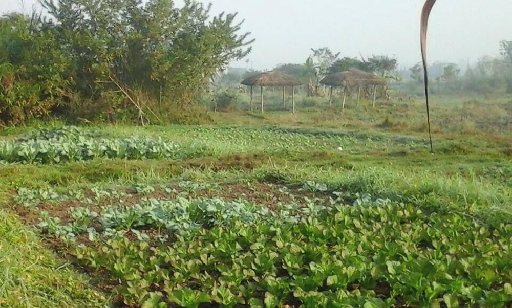 Lake Twenty Thousand Farm & Retreat