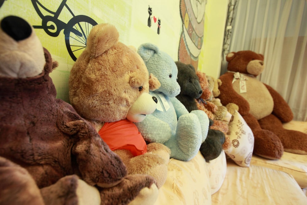 Bear Bear Homestay