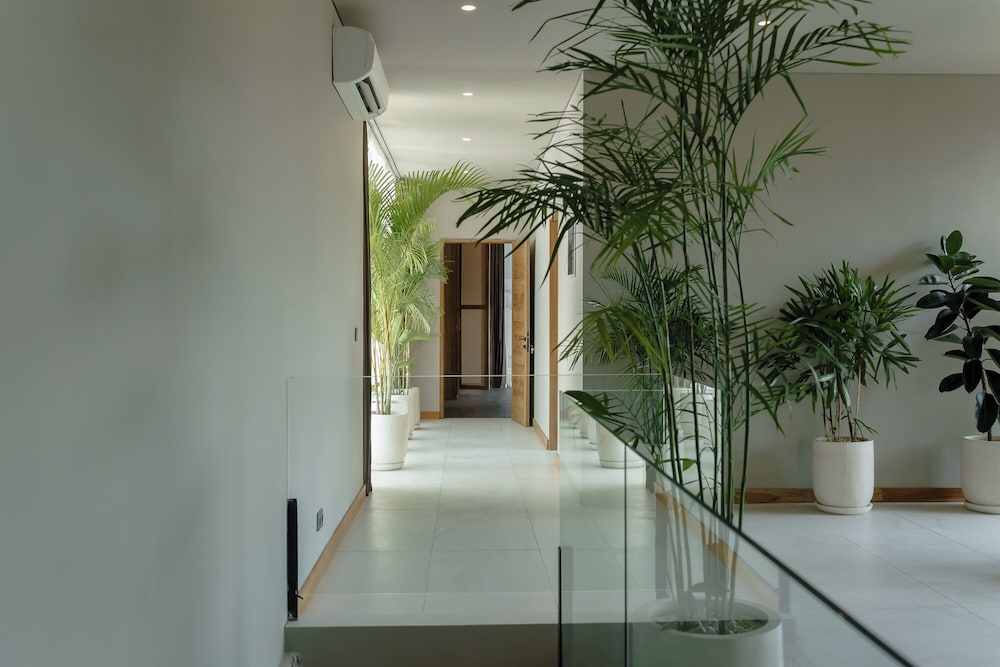 AMO Residences