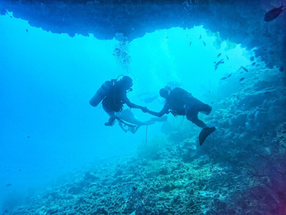 Dive and Sleep - All Inclusive Diving Guesthouse - 3 Dives per day