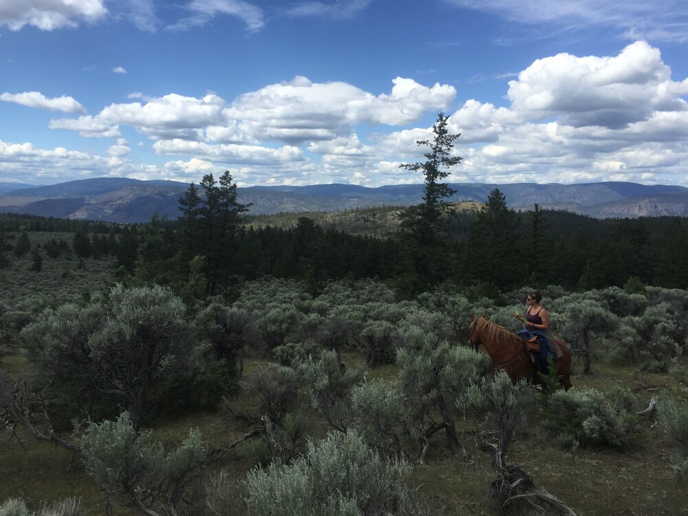 YD Guest Ranch