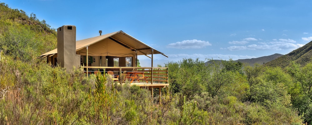 AfriCamps at Pat Busch Mountain Reserve