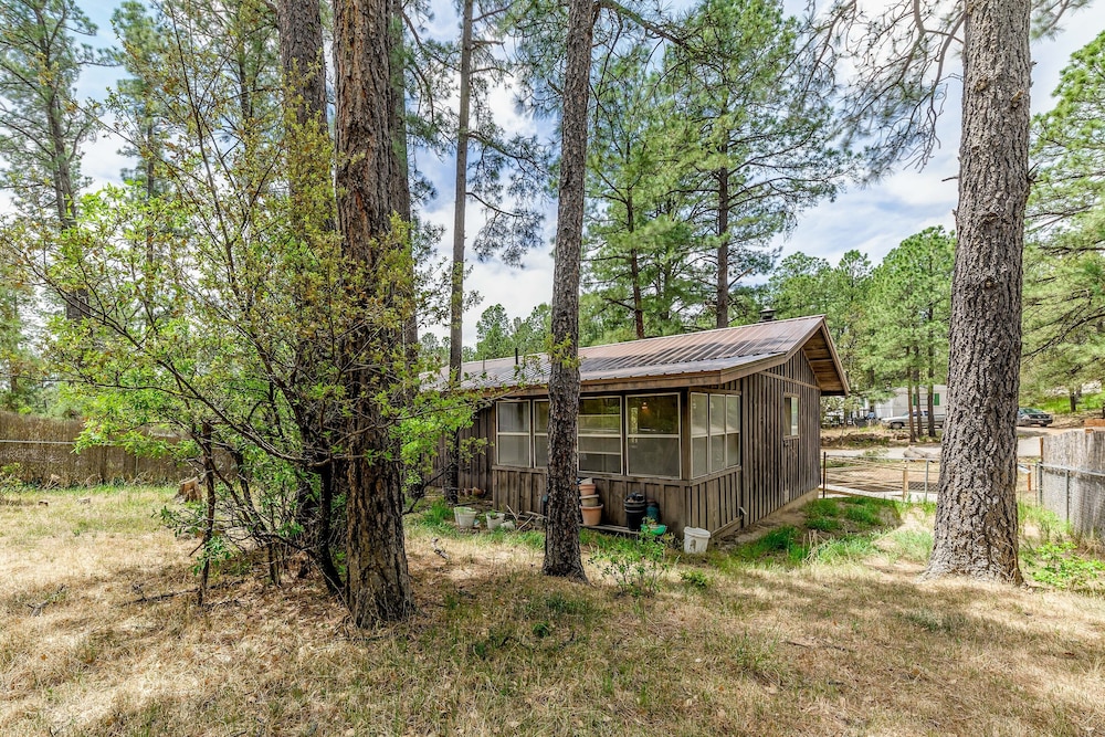 Serene Ruidoso Cabin w/ Fenced Yard Near Downtown! view 4