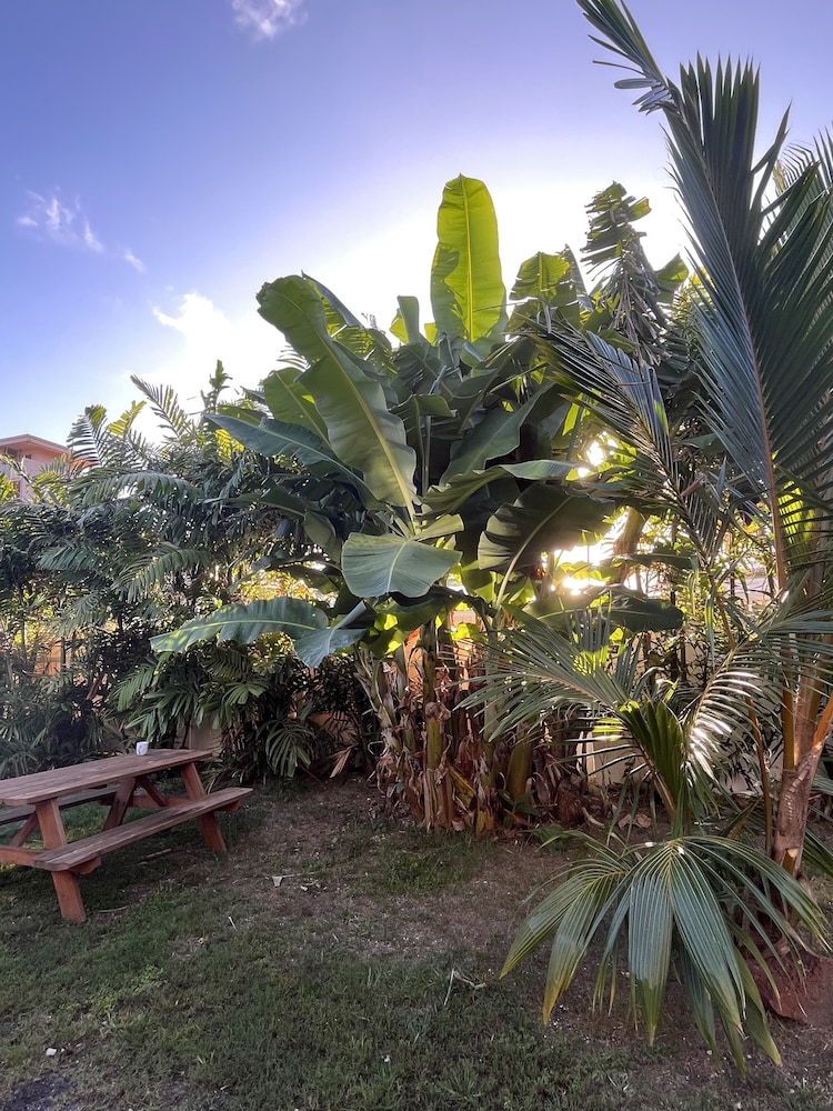 Akule Clubhouse: Awa 1 Bedroom Apt by the Beach 1 Condo by RedAwning