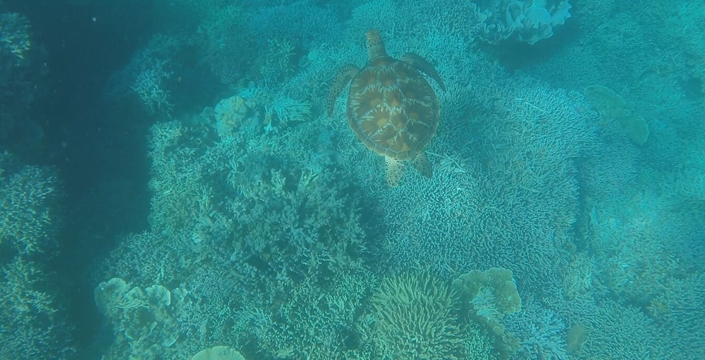 Photo 20