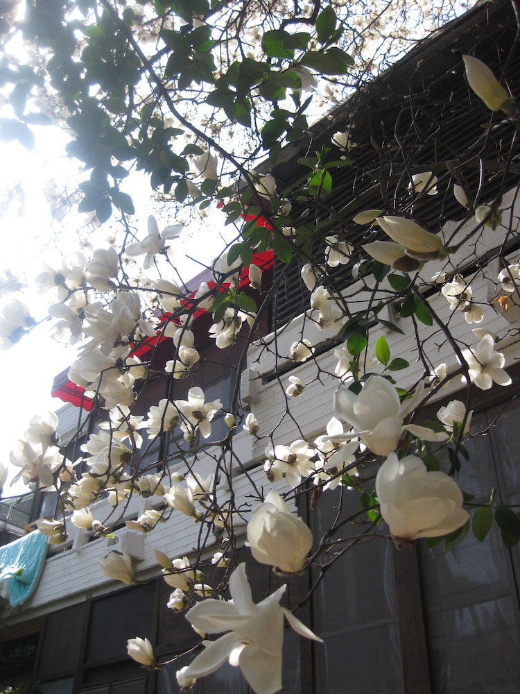iCOS Guesthouse 2 for Female - Hostel