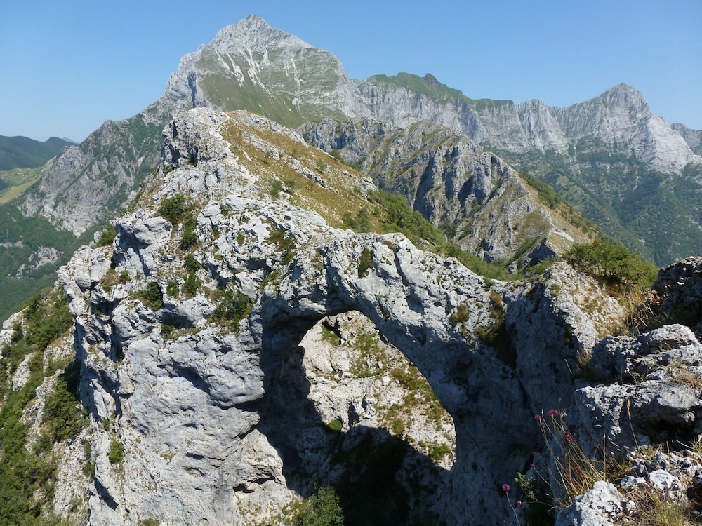 Photo 24