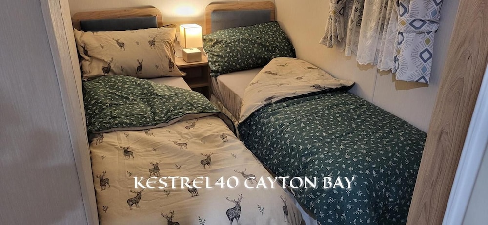 Cayton Bay Kestrel40