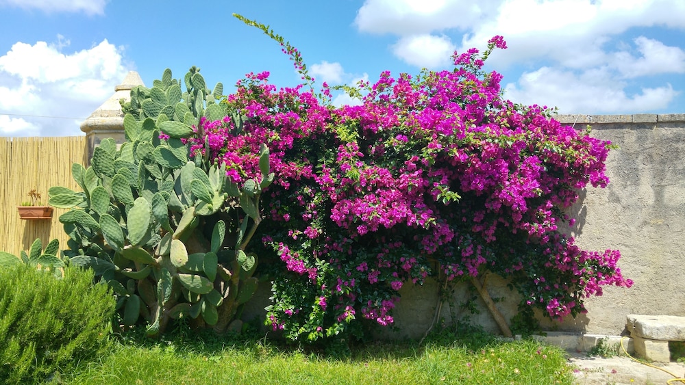 B&B Masseria 12 Granai