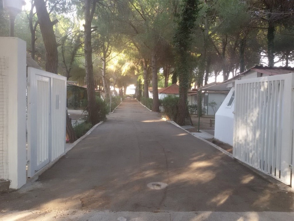 Parco delle Viole