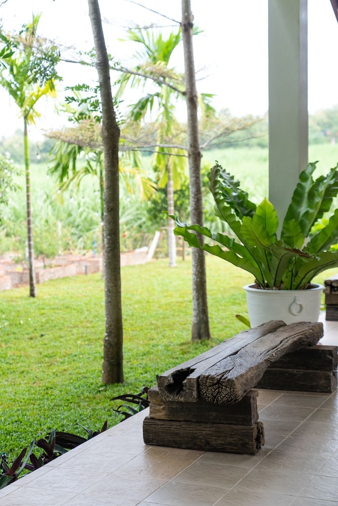 Green Me Organic Farm Khao Yai