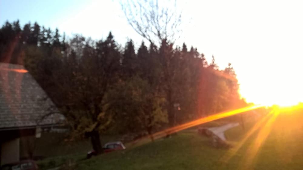 Photo 49