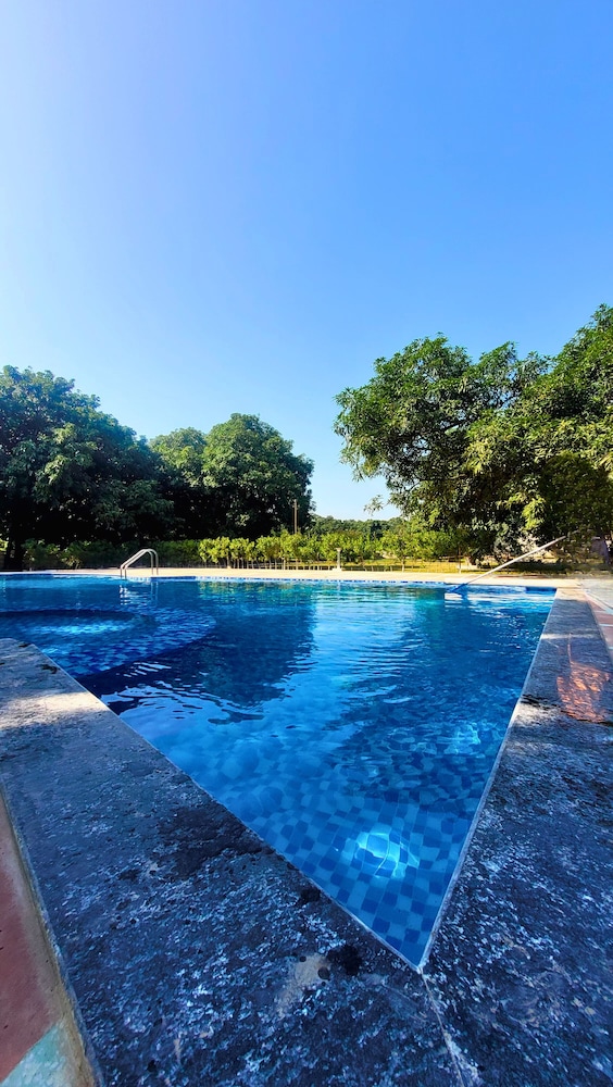 The Greenwich Resort
