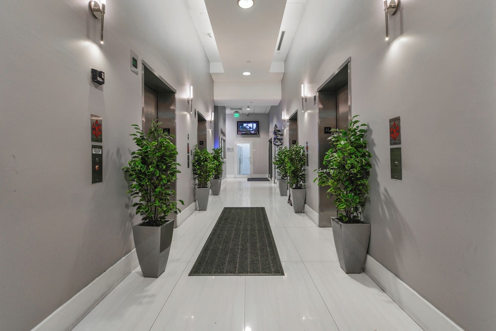 Modern Condos Located in Brickell