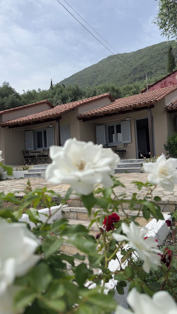 Olga's Sea View Studios -500m from Ipsos