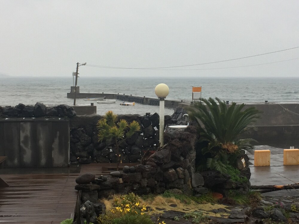 Sunday Jeju