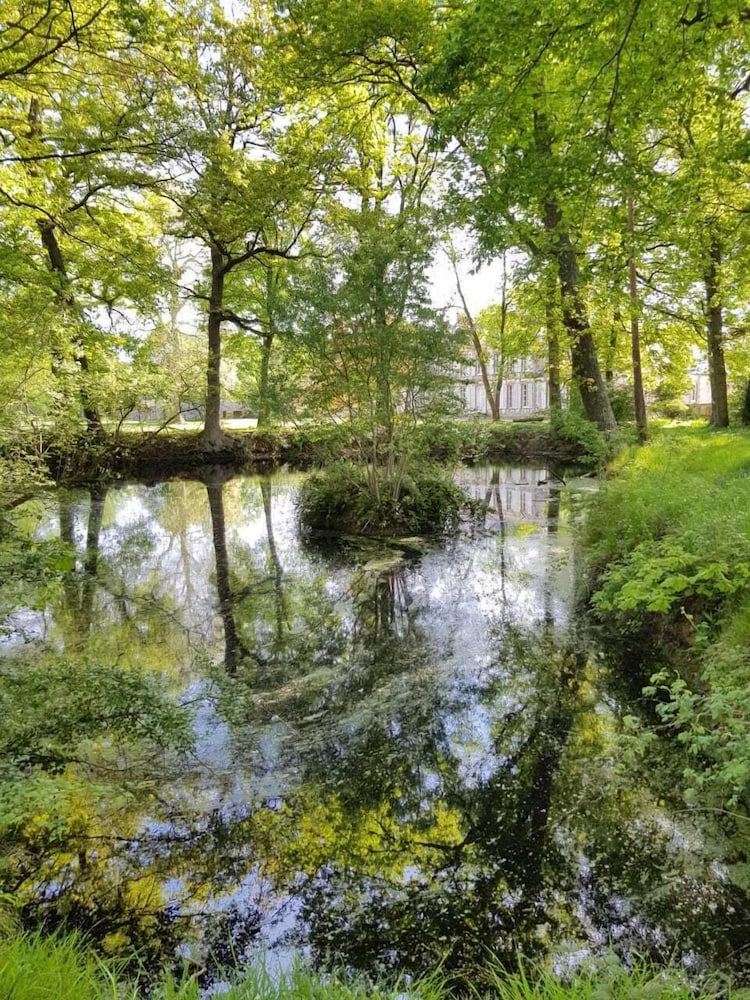 Photo 46