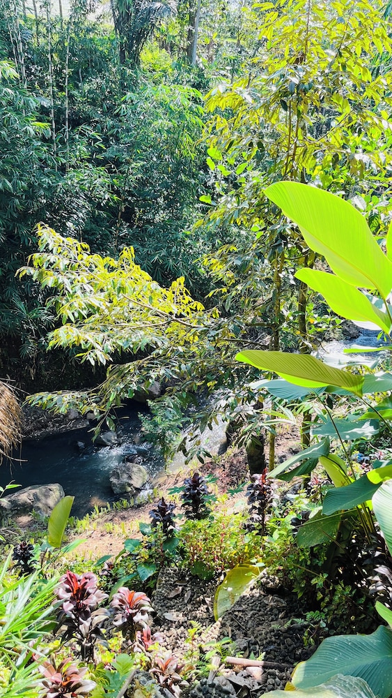 elbamboo guesthouse