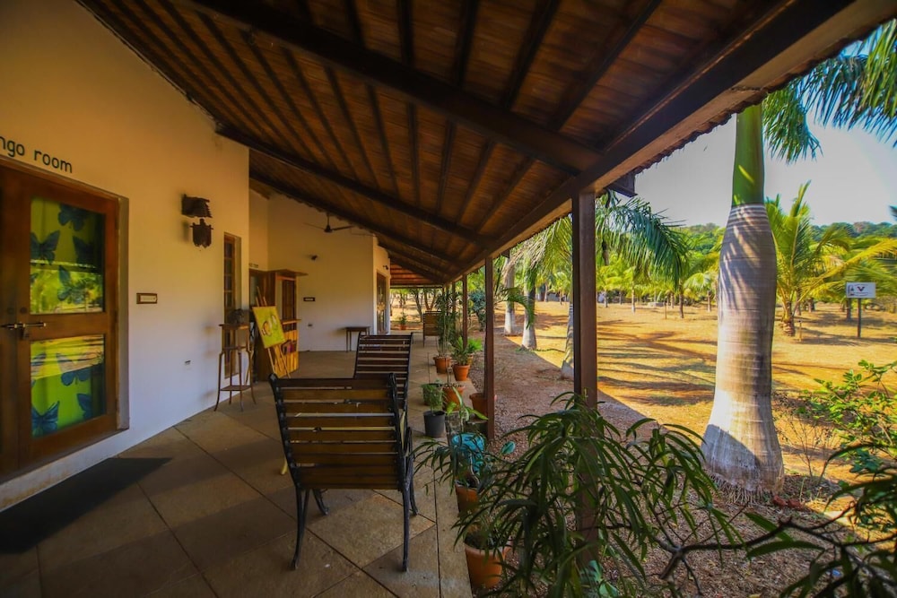 Beyond Stay Mahua Bagh Murud