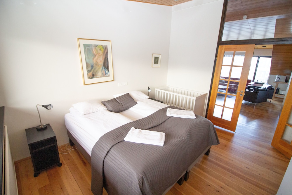 Stylish Downtown Reykjavik Apartments view 5