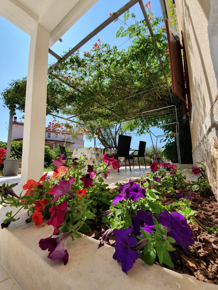 Butique apartment Borghetto
