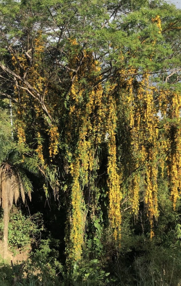 Photo 45