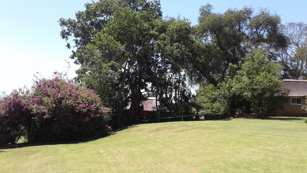 Photo 28