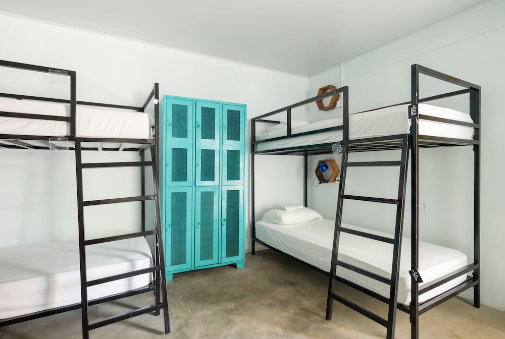 Selina Jaco - Hostel