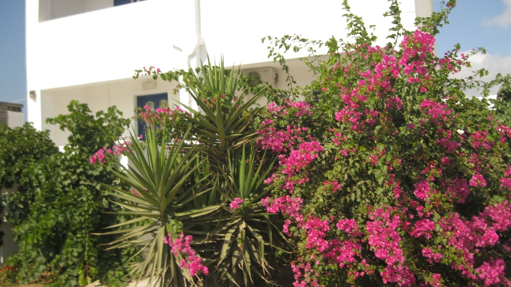 Aronis Plaka Naxos