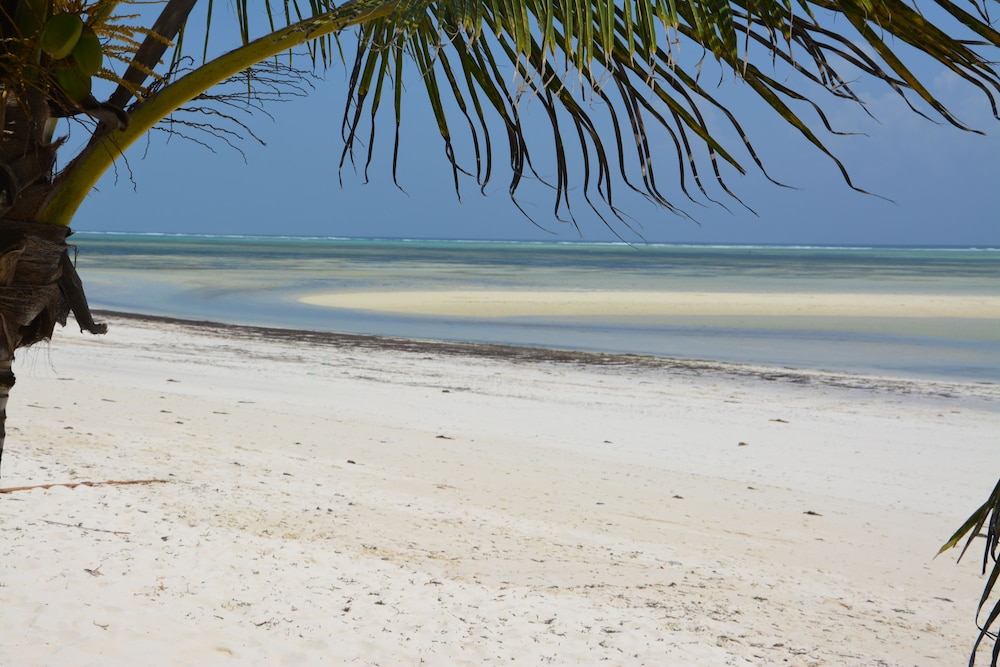 Kiwengwa Vacations - Neptune Pwani Beach Resort Spa Zanzibar - Property Image 77