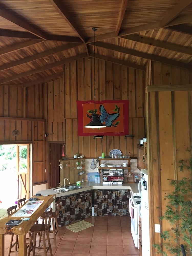 Birds & Breakfast