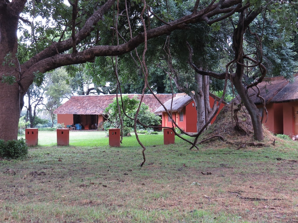 Croc Valley Camp