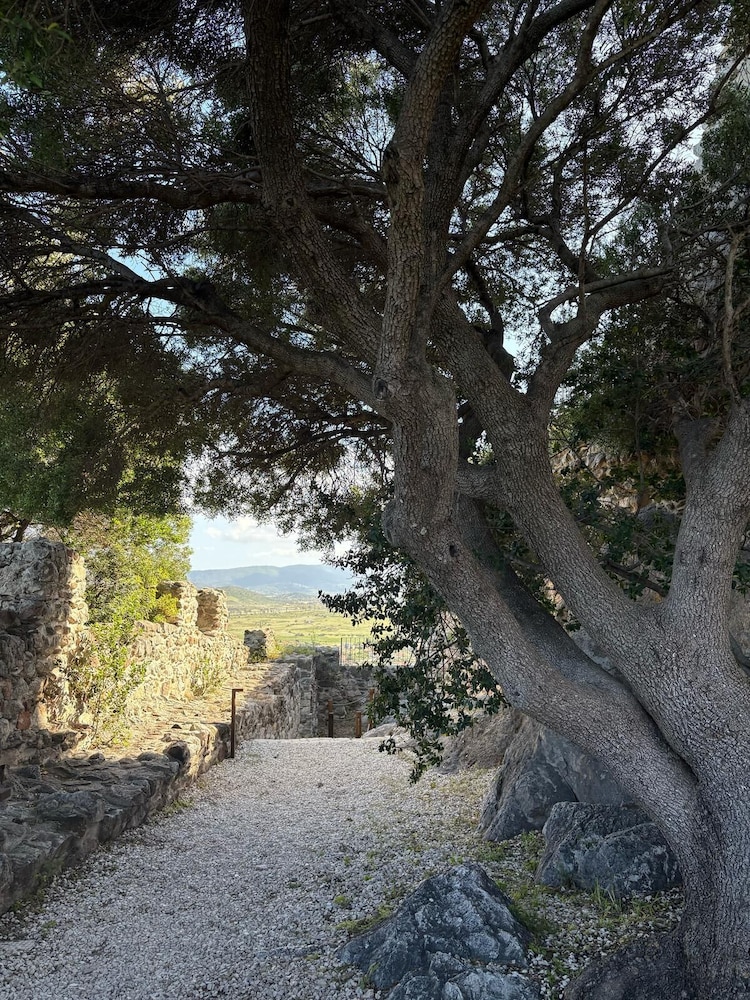 Affittacamere Belvedere - Posada