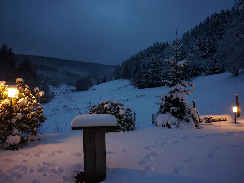 Exclusive Group House in Winterberg in the Forest