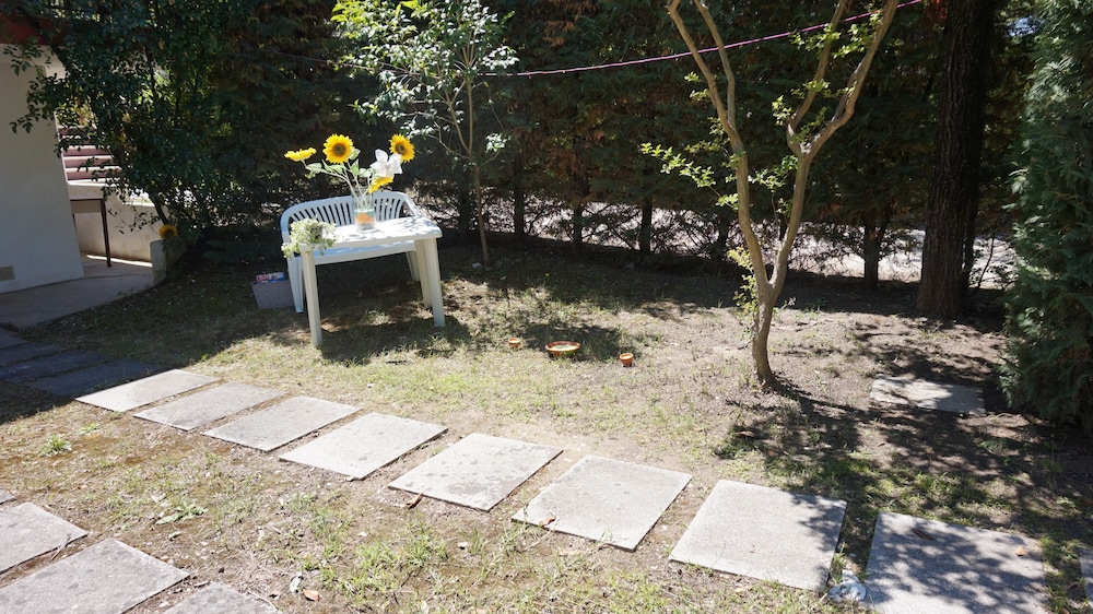 Photo 10