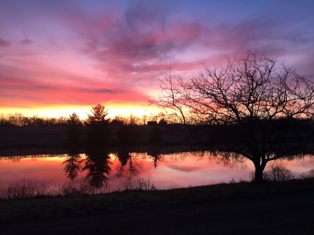 The B & B at Queenslake