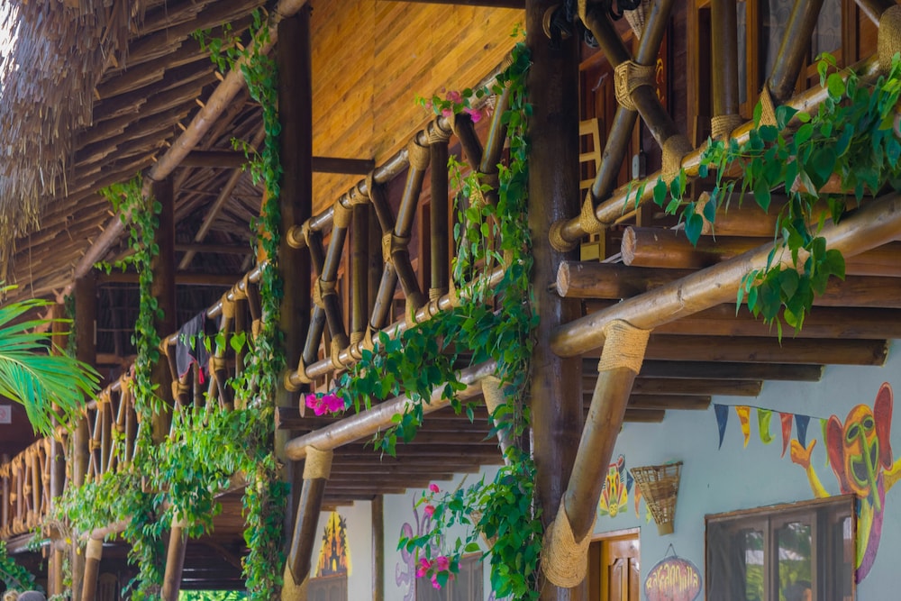 Prima Luna Palomino - Property Image 55