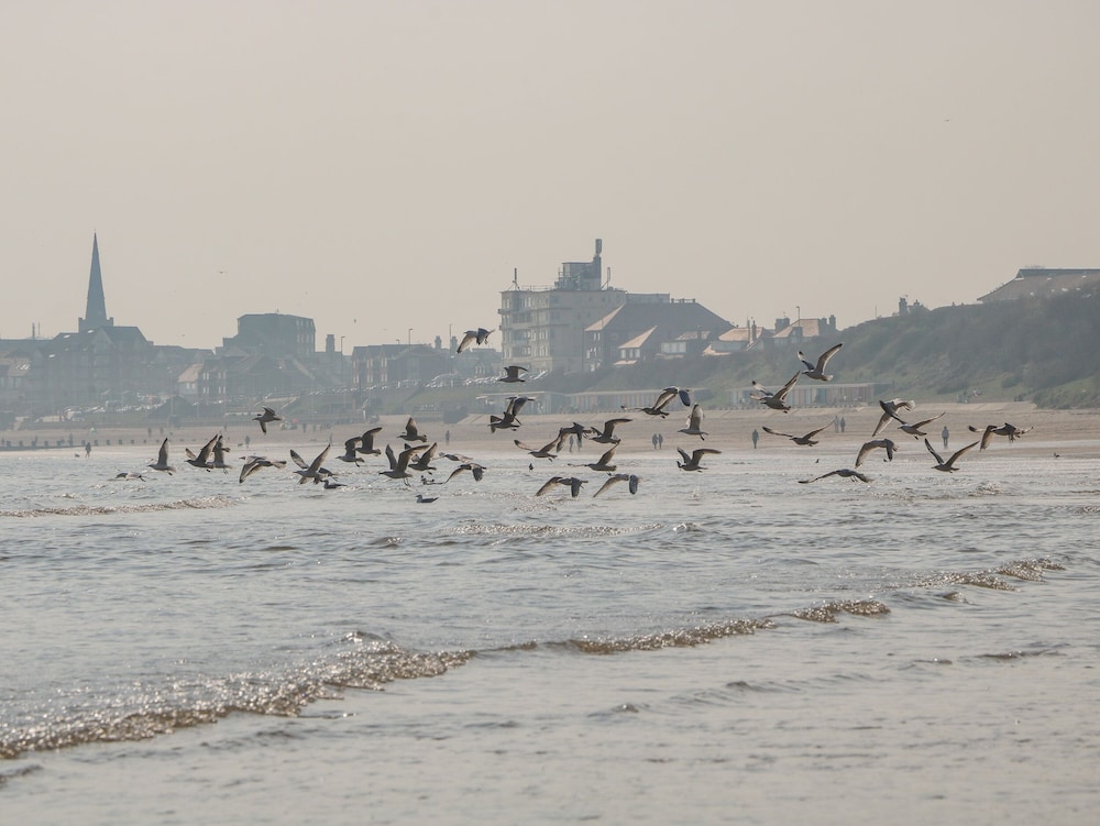 Cosy Coastal Holiday Let