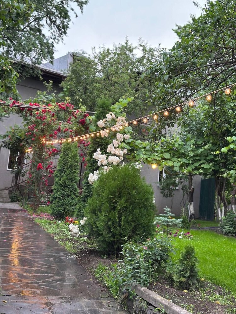 Narek B&B