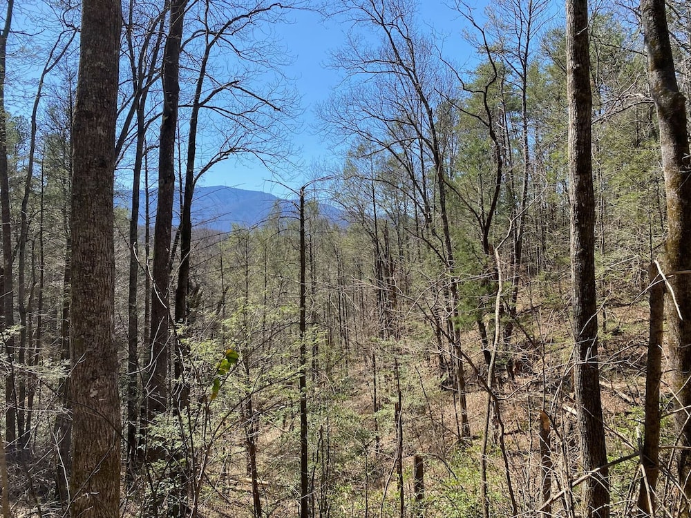 Moonshine Hollow Dome by Rafting
