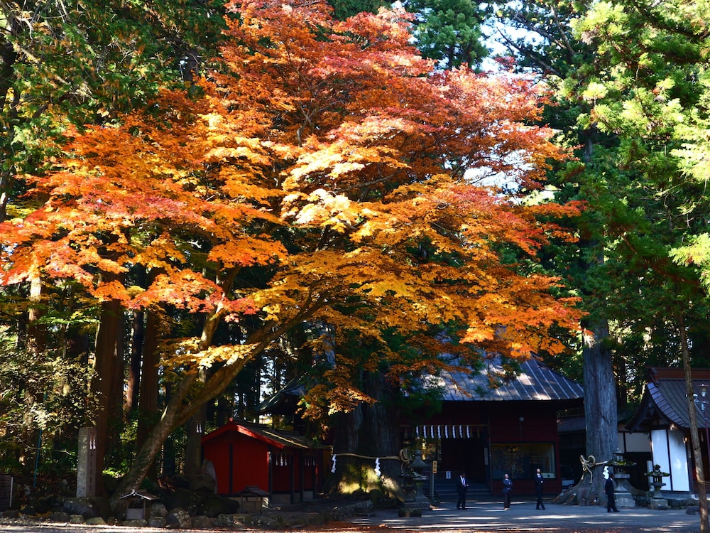 Hostel Fujisan YOU