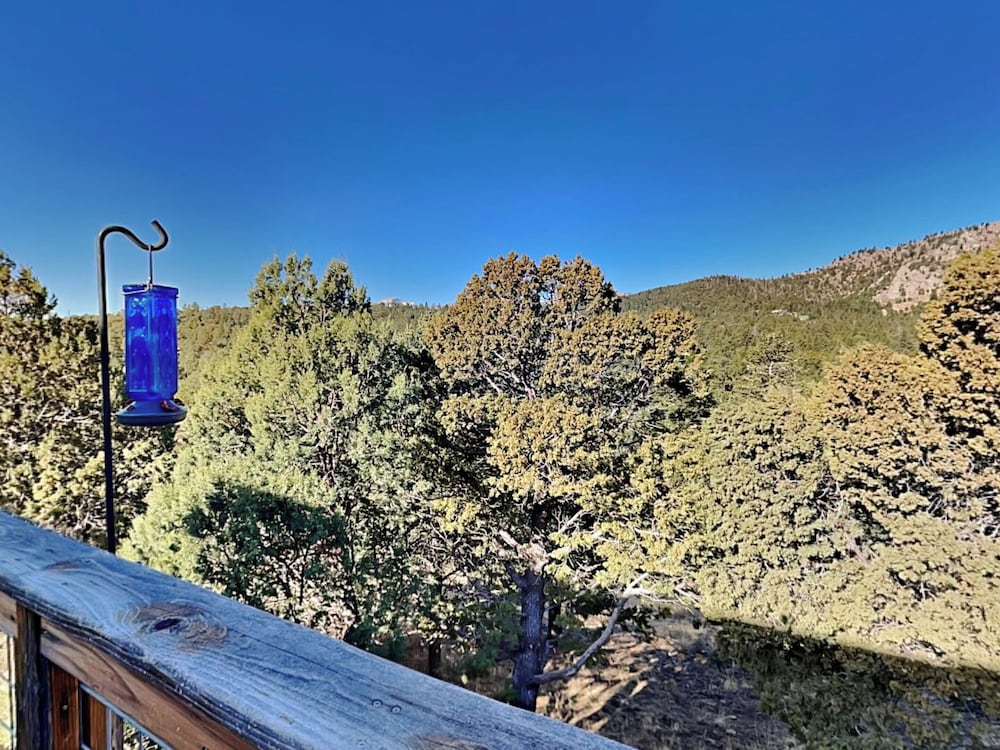 Moonlight Cabin