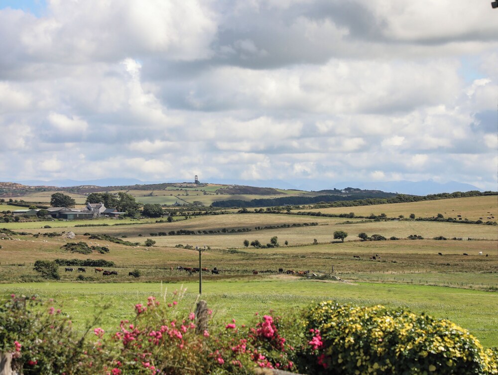 Tregynrig Bach