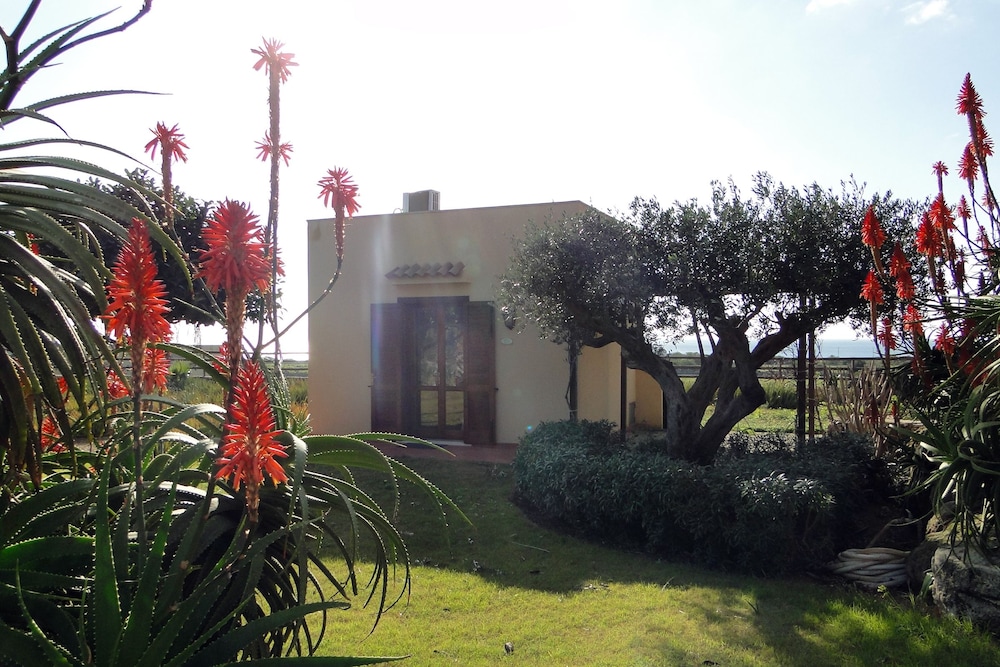 Il Giardino delle aloe